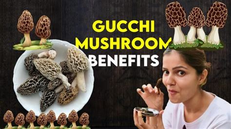 gucci mushroom benefits|are gucchi mushrooms healthy.